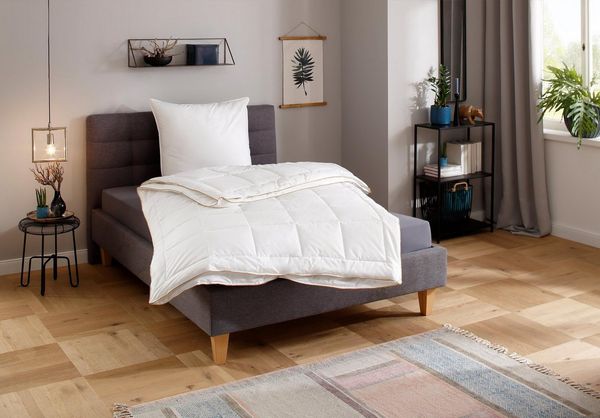 QUEENS TEXTILES Microfaserbettdecke Luxus, Bettdecke, 135x200 cm und weitere Größen, 4-Jahreszeiten oder Winter