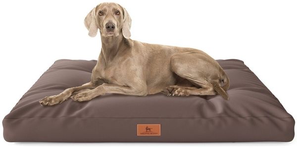 Knuffelwuff Hundematte Hundekissen Gatsby, Wasserabweisend