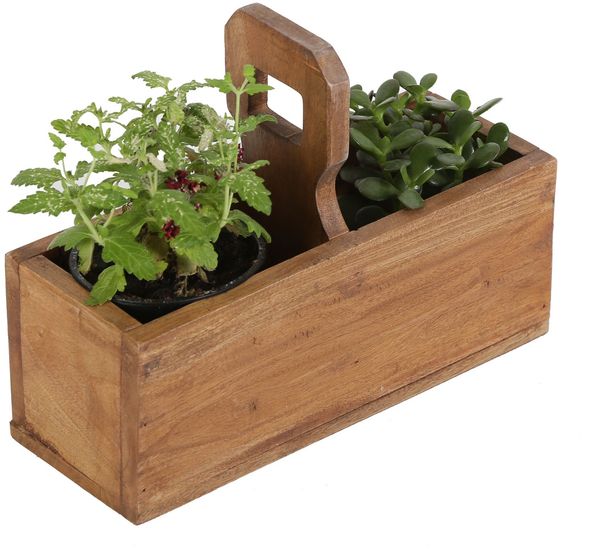 Pflanzenbox Viola