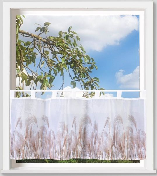 Weckbrodt Scheibengardine Pampasgras (1 St), Schlaufen, transparent, Voile, Bistro, Voile, bedruckt, floral, HxB 45x120cm, Gardine, Store