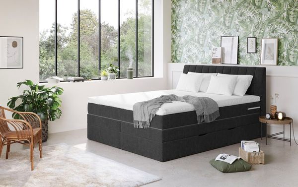 COTTA Boxspringbett Shark inkl. Bettkasten und Topper, erhältlich in den Breiten 140x200cm, 160x200cm und 180x200cm