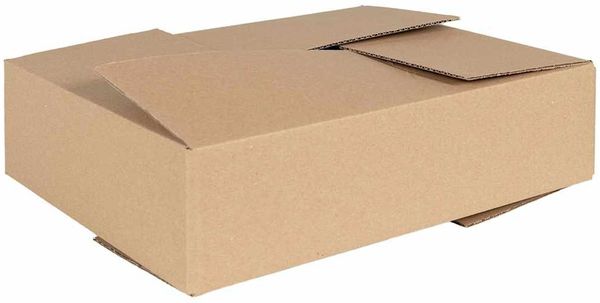 vidaXL Faltbox mit Speicher 50 pcs Natur 40 x 30 x 10 cm Karton 4106570