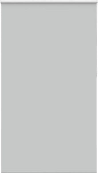 vidaXL Verdunkelungsrollo Hellgrau 120x230cm Stoffbreite 116,6cm 4011470