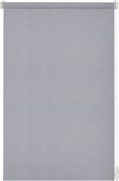 Gardinia EasyFix Rollo hellgrau 100 x 160 cm Shaun