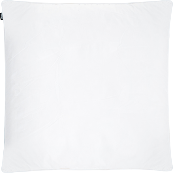 Kopfkissen FELDBERG Hoch Entenfederchen und daunen 80 x 80 cm Weiß