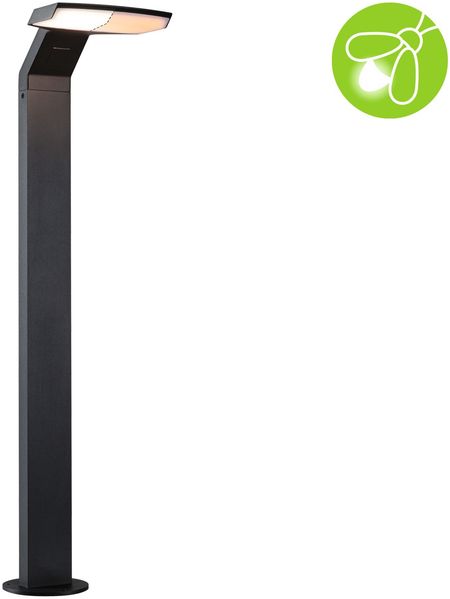 Paulmann 94829 LED Pollerleuchte Zenera insektenfreundlich IP44 Anthrazit