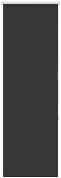 vidaXL Verdunkelungsrollo Schwarz 60x175 cm Stoffbreite 55,7 cm 4010886