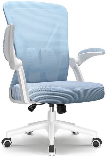 Adormii Bürostuhl Bürostuhl mit klappbaren Armlehnen,Ergonomischer Bürostuhl (Drehstuhl 360° mit Höhenverstellbarer Lendenwirbelstütze,Verstellbarer gepolsterten Armlehnen,Wippfunktion bis 125°,geräuscharmen Rollen,Höhenverstellbar), Atmungsaktiver Net...