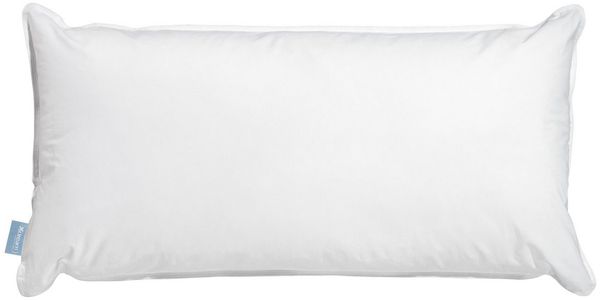 XDREAM Wasserkissen Kopfkissen, 40x80 cm und 50x70 cm, inkl. Fülltrichter, 1-tlg, individuelle Stützwirkung durch anpassbare Füllmenge, Auslaufschutz