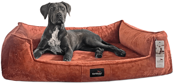 FRANKLIN TEDDY Orthopädisches Hundebett - 27 Terracotta, 130x100cm