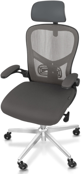 CLOUVOU SmartSeat, ergonomischer Bürostuhl, Rückenlehne mit Mesh Bezug, FlipUp-Armlehnen, 3D-Kopfstütze, BladeWheels, Anthrazit