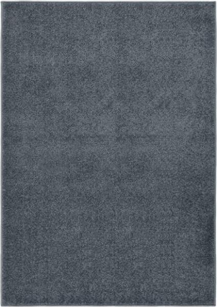 Teppich Kurzflor 240x340 cm Anthrazit