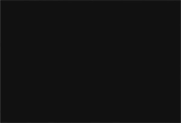 vidaXL Markisenersatzstoff Schwarz 300 x 250 cm Polyester 3444349 Bild 3