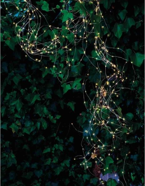 Sirius Knirke Lichterkette 500 LEDs - Klar/Grün
