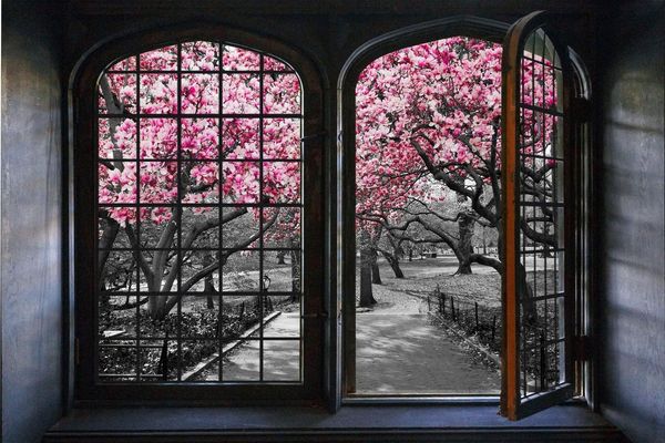 queence Wandsticker Kirschblüten, Wandsticker, Wandbild, selbstklebend, 3D, Fenster