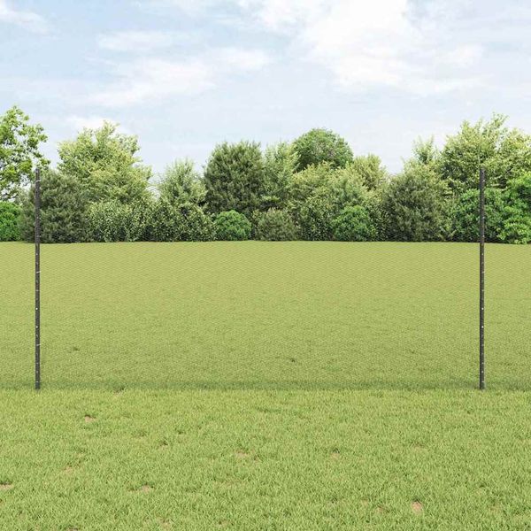 vidaXL Zaun mit Pfosten Grau 3336897