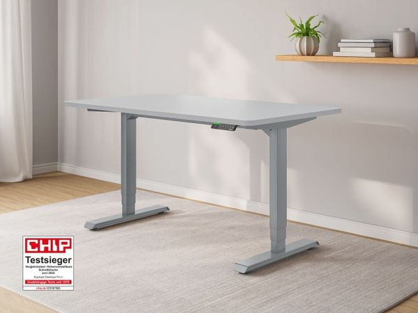 Ergotopia Desktopia Pro X I Elektrisch höhenverstellbarer Schreibtisch I 140x80 cm I Grau Dekor rund I Gestell Grau I Inkl. Ziele- und