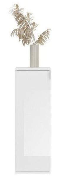 furnling Kommode Professor, 30 x 99 x 34 cm, mit 1 Tür, in Hochglanz weiß, Sideboard