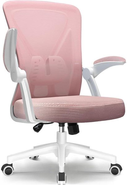 Ergonomischer Bürostuhl Schwarz, Höhenverstellbar, Lendenwirbelstütze, klappbare