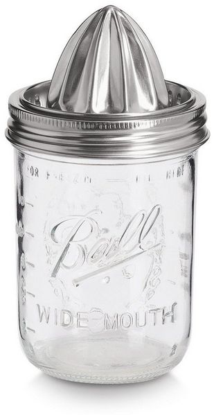 ZELLER 19699 Saftpresse, 450 ml, Glas/Edelstahl