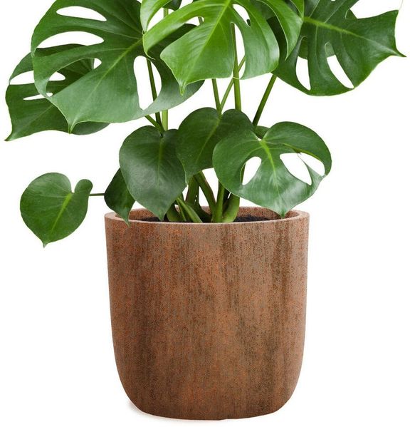 Pflanzwerk® Pflanzkübel CUP Premium Fiberglas Blumenkübel Frostbeständig mit Lotus-Effekt, Lotus-Effekt - Handgefertigt - Rund - Frostbeständig