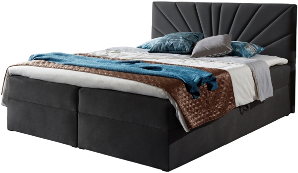 Boxspringbett Trifoli IV, Dunkelgrau, 180 x 200 cm