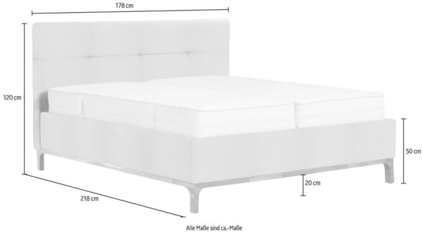 Leonique Polsterbett Noan, Bettkasten, Lattenrahmen mit Gasdruckfedern, auch mit 7-Zonen-Matratze Bild 3