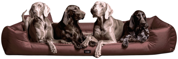 GOOFY Orthopädisches Hundebett - 01 Braun, 185x115cm