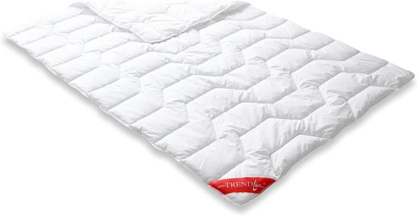 Badenia Bettcomfort 03857210140 Steppbett Trendline Basic kochfest leicht 135x200 cm weiß