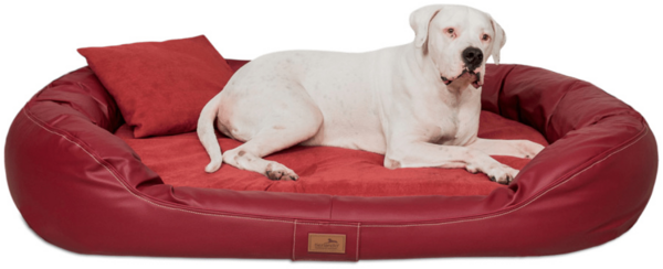 LENNART VIP VISCO PLUS Orthopädisches Hundebett - 85x65cm, 04 Dunkelrot