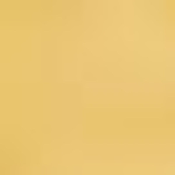 Kinzler J-10053/06 Mikrofaser Bademattenset 2-teilig = WC-Deckelbezug 47x50 cm + Vorleger ohne Ausschnitt 50x55 cm, gelb Bild 2