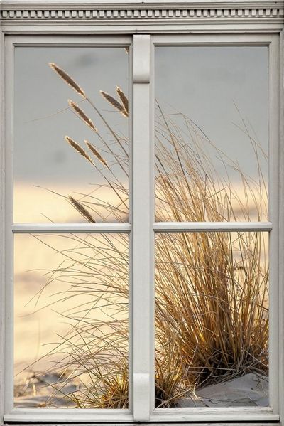 queence Wandsticker Düne, Wandsticker, Wandbild, selbstklebend, 3D, Fenster