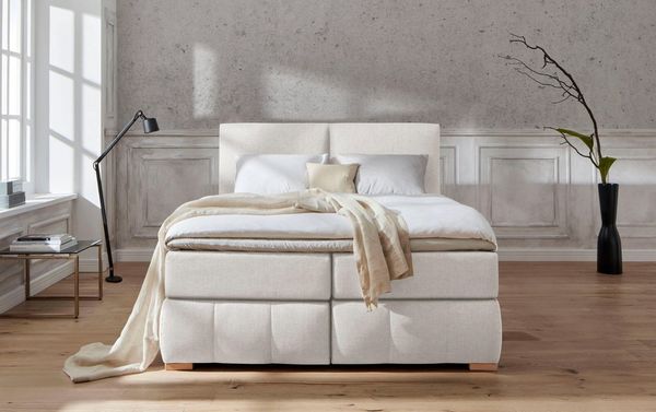 Guido Maria Kretschmer Home&Living Boxspringbett Wehma, inkl. Topper in 3 verschiedenen Matratzen, auch in Samtstoff