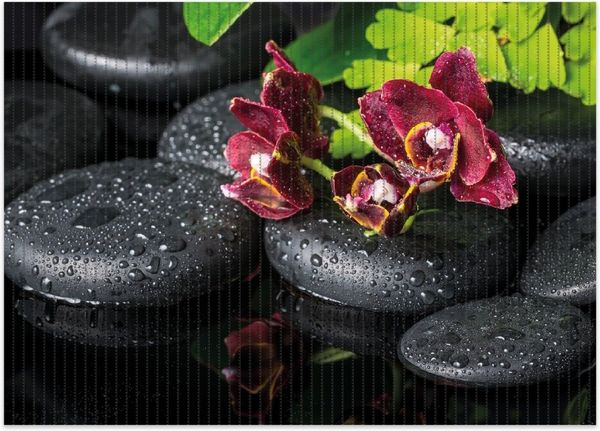 Wallario Schaum-Badematte Dunkelrote Orchideen-Blüte auf schwarzen Steinen mit Regentropfen, Höhe 5.5 mm, rutschhemmend, geeignet für Fußbodenheizungen, Polymer-Schaum, rechteckig