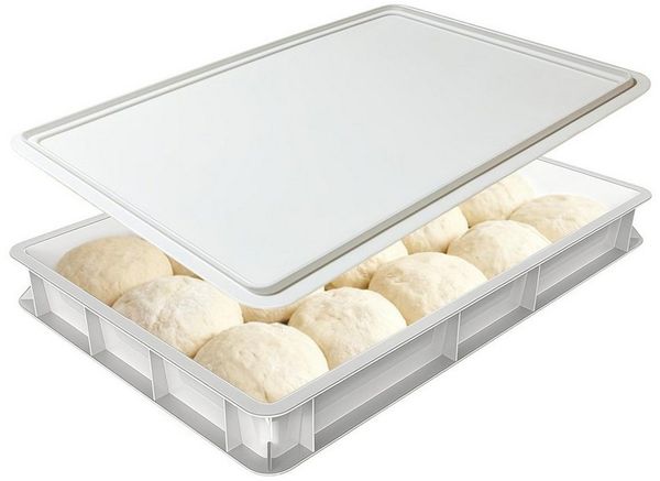 GLIESE Aufbewahrungsbox 30x40x7,5 cm Pizzaballenbox mit Deckel (Set, 1 St, 1-tlg), Für 6 Teiglinge ausgelegt