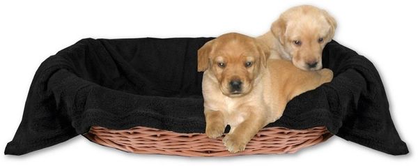 Bestlivings Tierdecke Hundedecke / Katzendecke, Kuscheldecke für Haustiere, Schlafplatz/-decke, versch. Variationen
