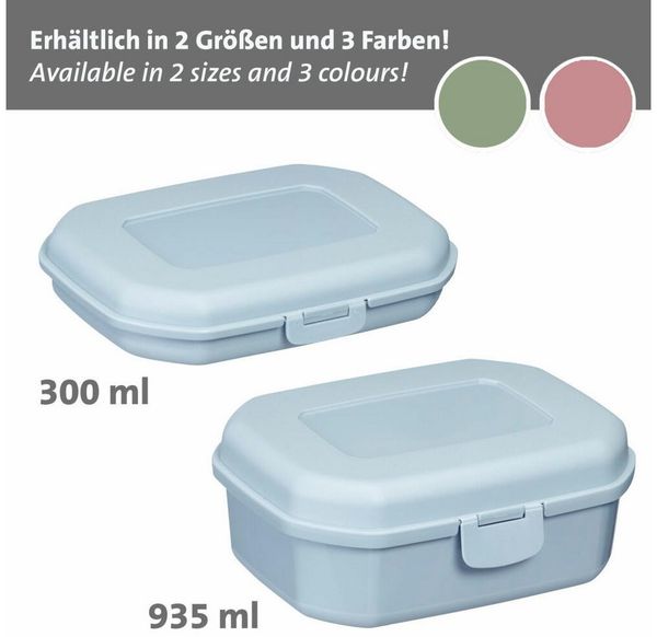WESTMARK Lunchbox Brotdose/Snackbox, mit Klick-Verschluss, Höhe: ca. 3,7 cm, Blau, PP