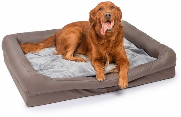 RAIKOU Hundematte Hundebett mit Abnehmbarem Kissen, Schlafplatz Hundesofa Tierbedarf, 100% Polyester, gepolstertes waschbares, mit Hundekissen