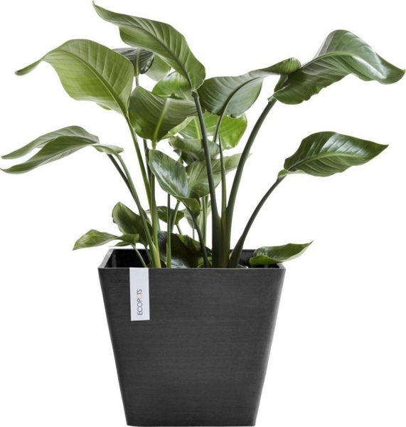 ECOPOTS Blumentopf ROTTERDAM Dark Grey, BxTxH: 40x40x35 cm Bild 2