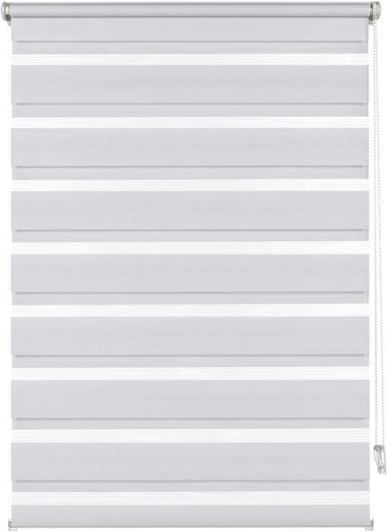 EASYFIX Doppelrollo mit Montageschiene