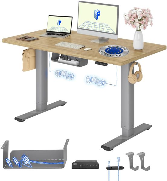 FLEXISPOT Höhenverstellbarer Schreibtisch mit 2 Motoren & 25MM EINTEILIGER Tischplatte 120x80 cm, Ergonomischer Bürotisch Elektrisch mit Kabelmanagement, Memory Funktion & Höhenanzeige