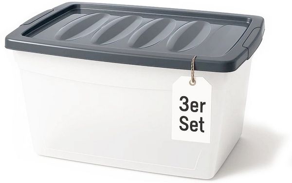 BigDean 3x 60 L Aufbewahrungsbox mit Deckel groß Budget Line Plastikbox mit Deckel