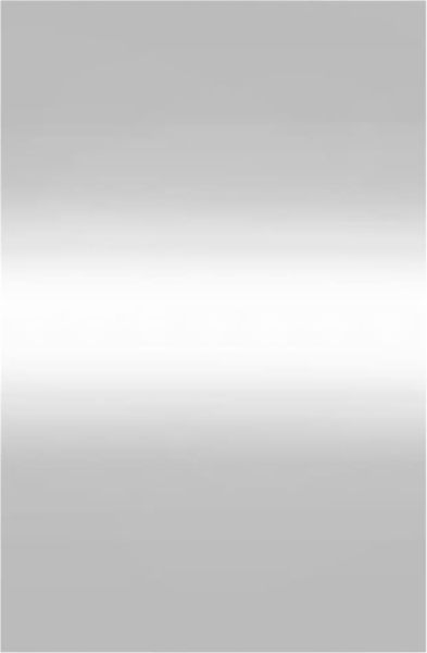 vidaXL Wandspiegel 40x60 cm Glas Rechteckig 350446