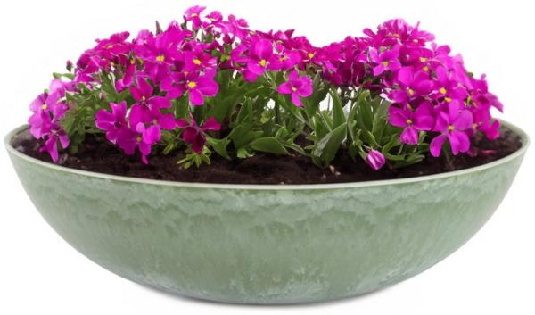 matches21 HOME & HOBBY Blumentopf Pflanzschale für draussen Dekoschale rund grün Vintage 20 cm (1 St), Frostsichere Kunststoff Blumen-Schale Gartendeko Wohnzimmer Friedhof