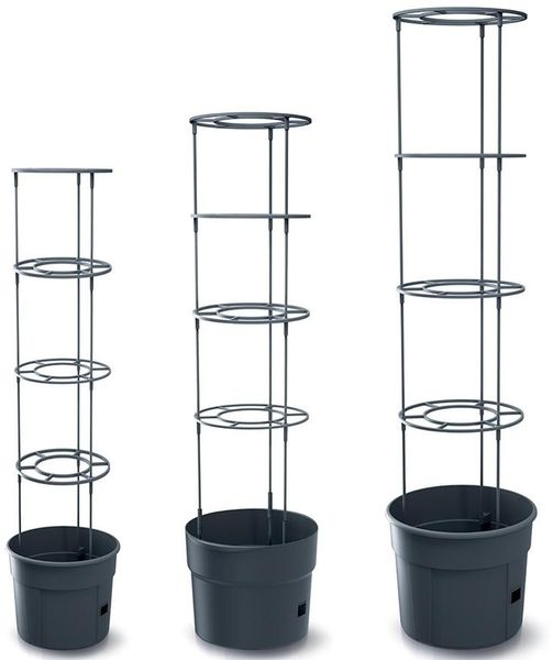 Prosperplast Anzuchttopf für Tomaten, Gemüse (34,5 cm), inkl. Rankhilfe, Balkon, Terasse, Garten