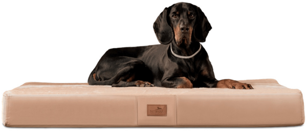 FLOKI Orthopädische Hundematratze - 150x100cm, 14 Beige