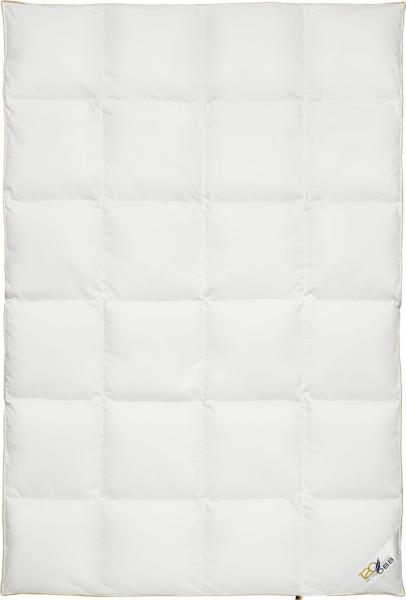 OBB 120 Jahre Daunendecke Sommer 135x200