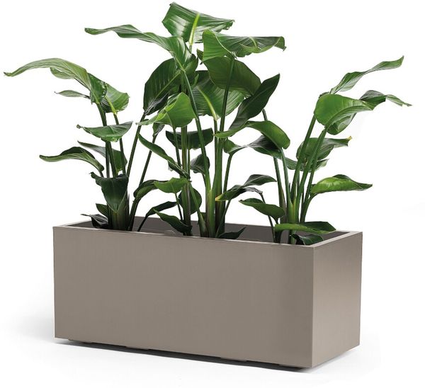 euro3plast 'GREENER KEBE' Pflanzkasten, mit Wasserreservoir und Rollen, doppelwandig, taupe, 100 x 40 x 40 cm