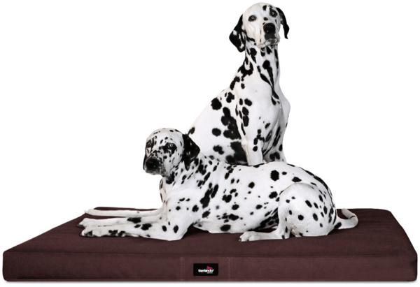 ALICE VISCO Orthopädische Hundematratze, Polyester braun, 80 x 60 cm