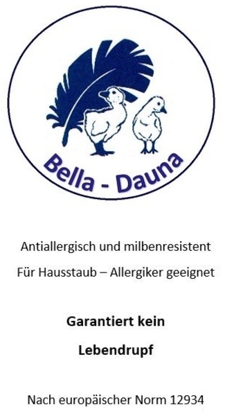 Oberbett Schüttelbett Daunenbett Ballonbett 135x200 cm 1750g 60% Daunenanteil Bild 6